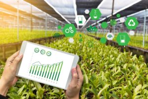 Innovation in Agriculture: Why it Matters – The Seam